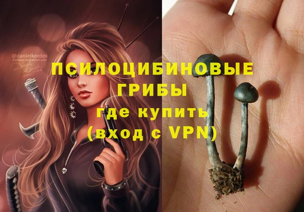 mdpv Козельск