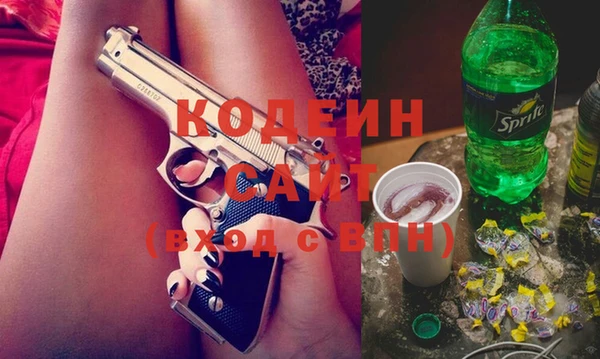 шишки Костерёво