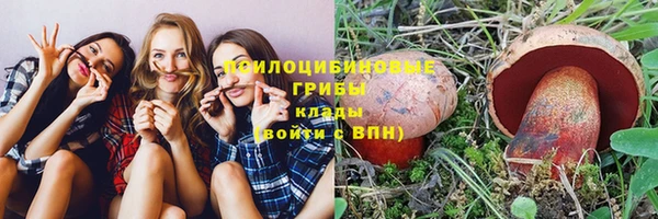 Альфа ПВП Козловка