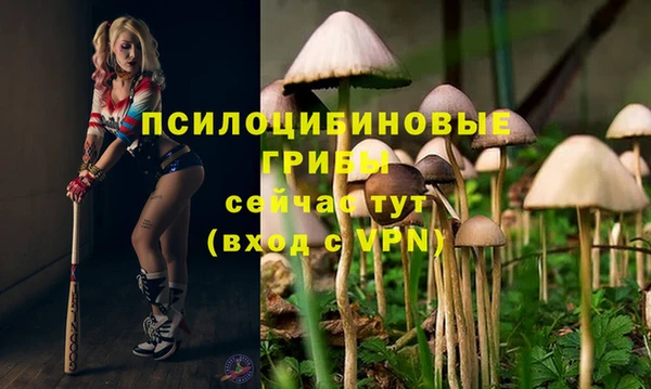 mdpv Козельск