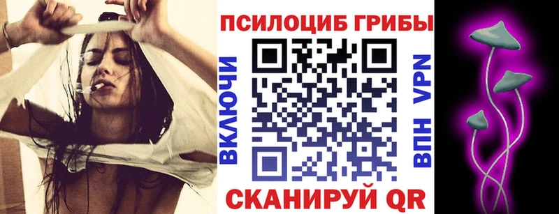 даркнет формула  Курчатов  Галлюциногенные грибы GOLDEN TEACHER 