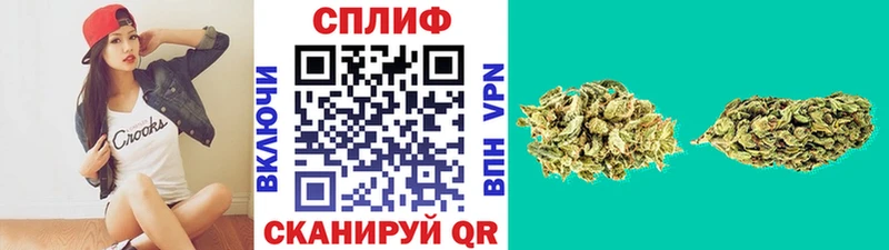 ссылка на мегу как войти  наркота  Курчатов  Бошки Шишки индика 